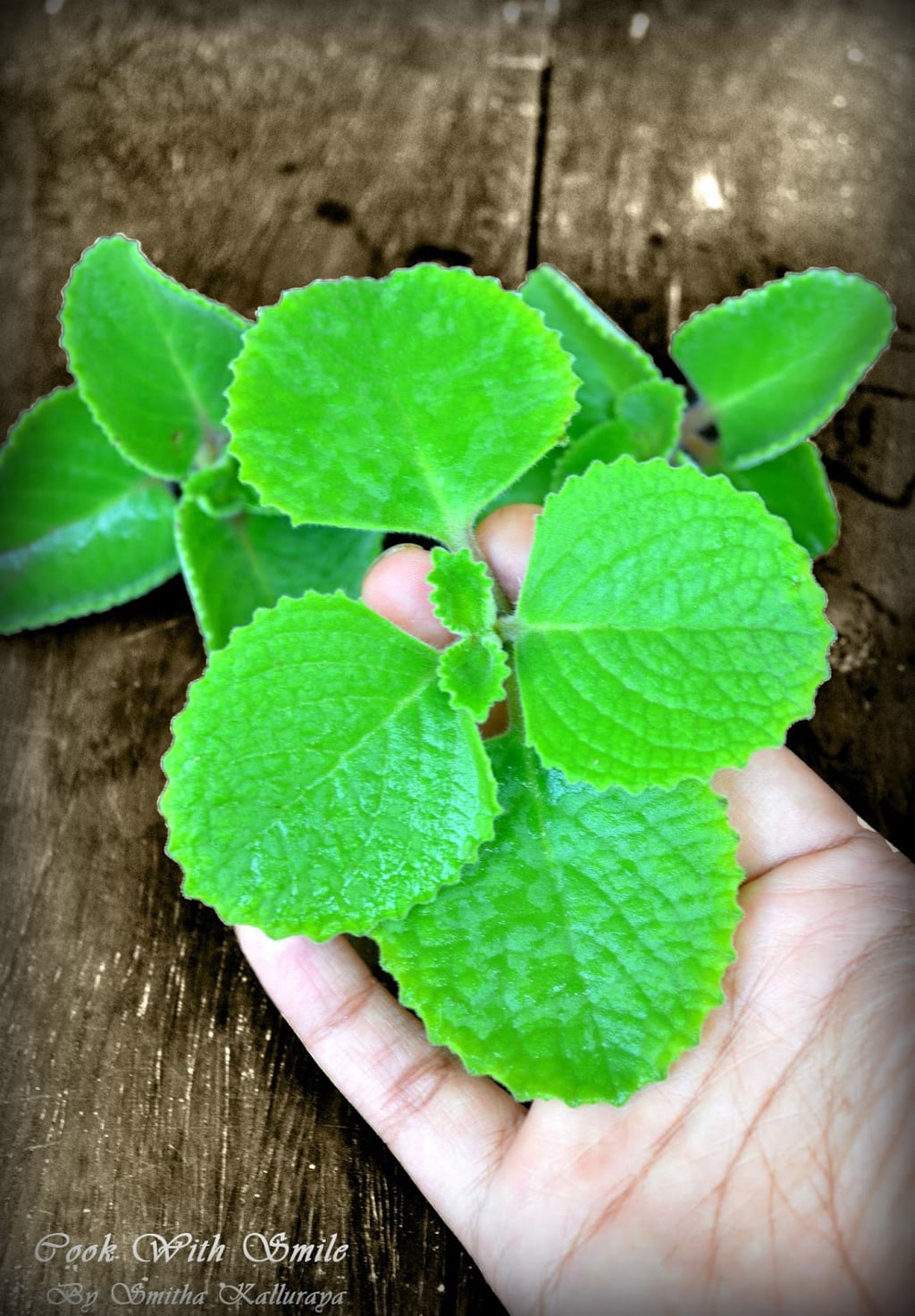 ajwain in malayalam