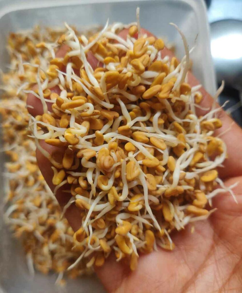 MENTHE GOJJU / MENTHYA GOJJU / METHI SEEDS CURRY RECIPE Cook with Smile